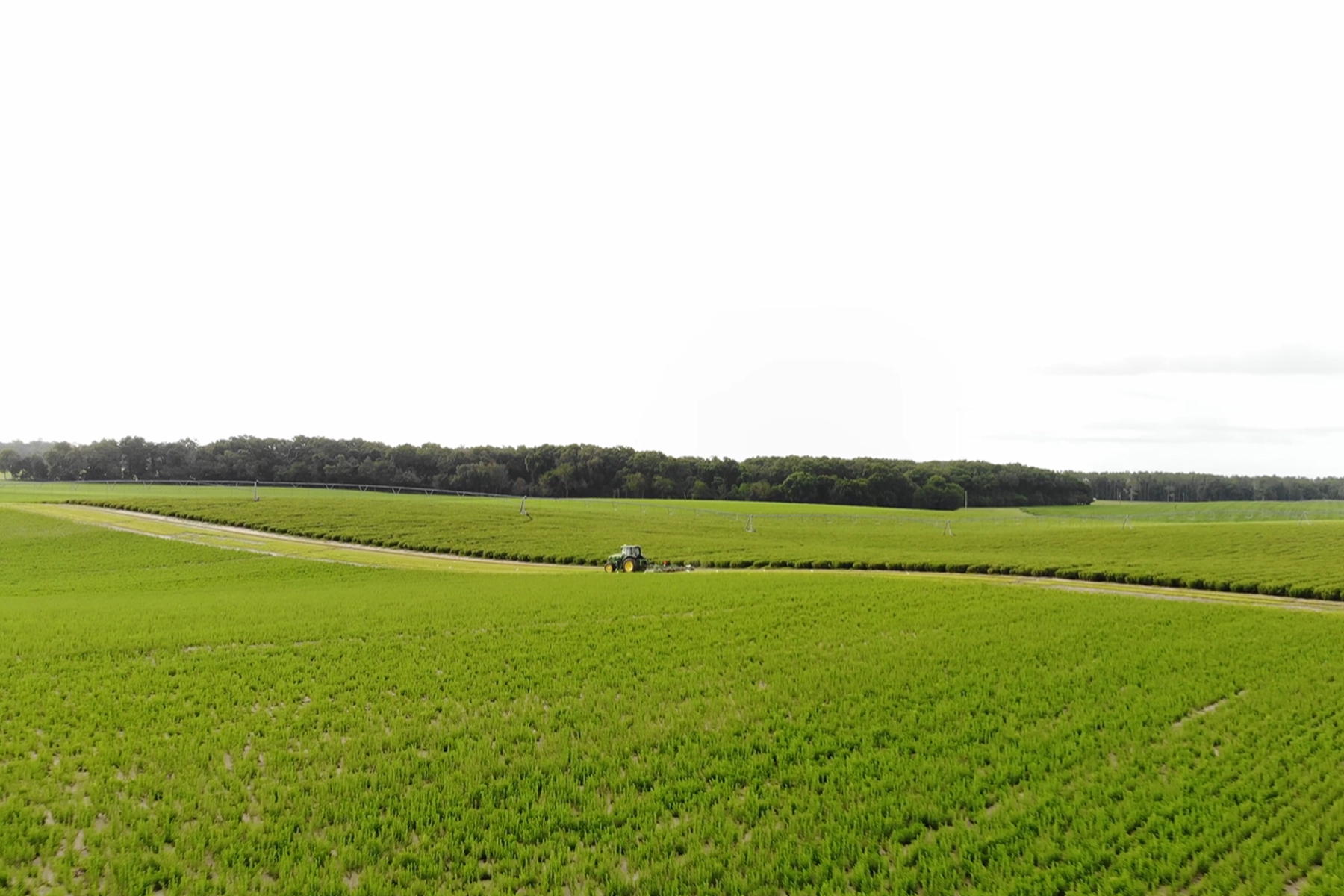 John Deere tractor working field at Splenda Stevia Farms